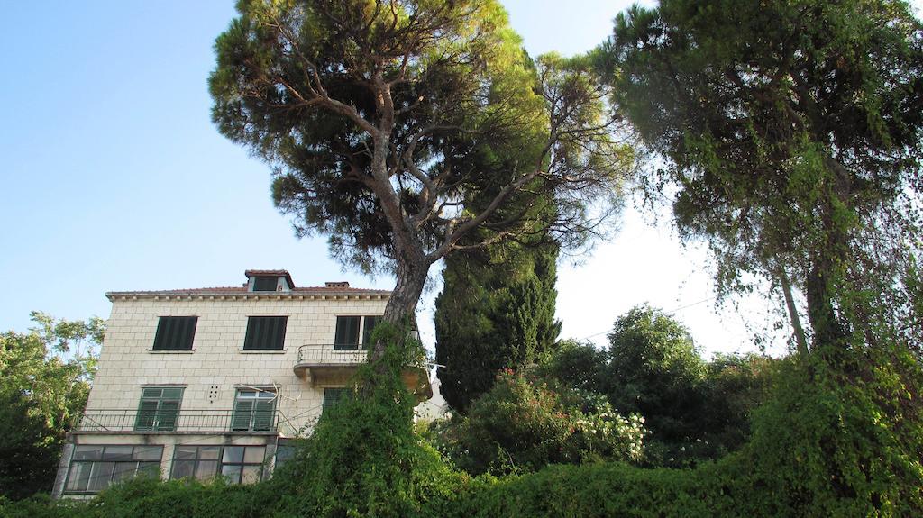 Apartment Dubrovnik Surprise المظهر الخارجي الصورة